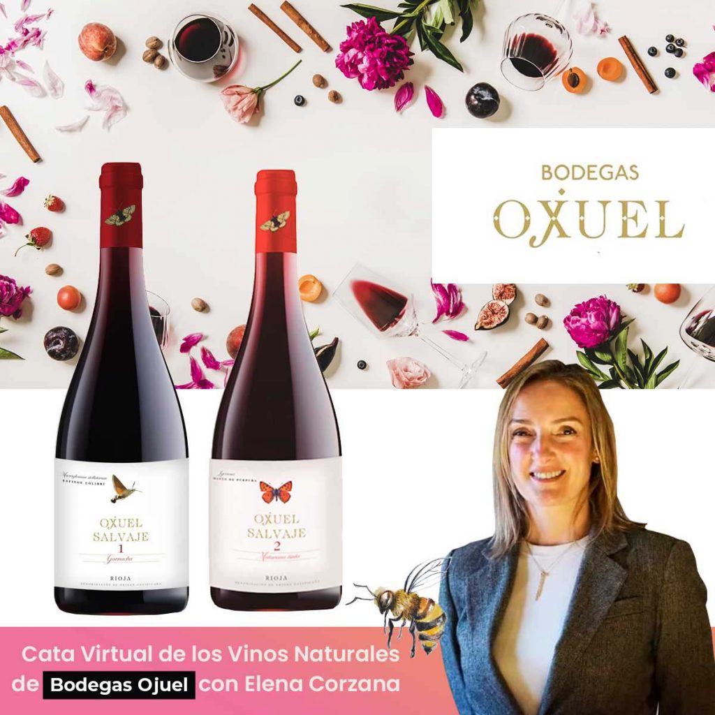 cata virtual de los vino de Bodegas Ojuel
